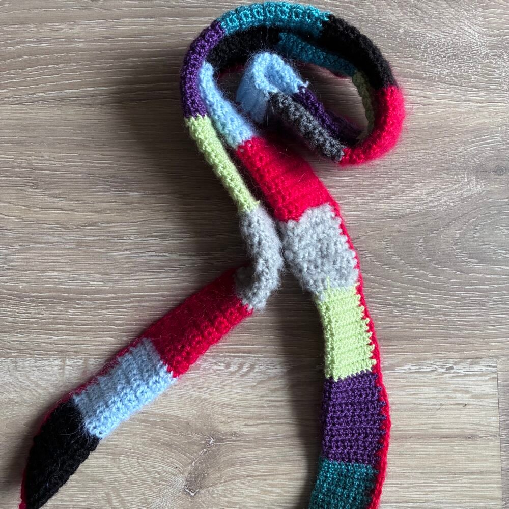 Sciarpina multicolor
